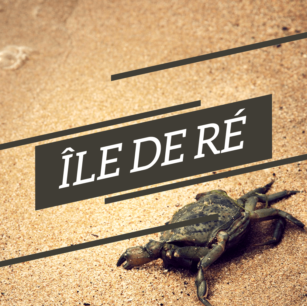 ile de ré