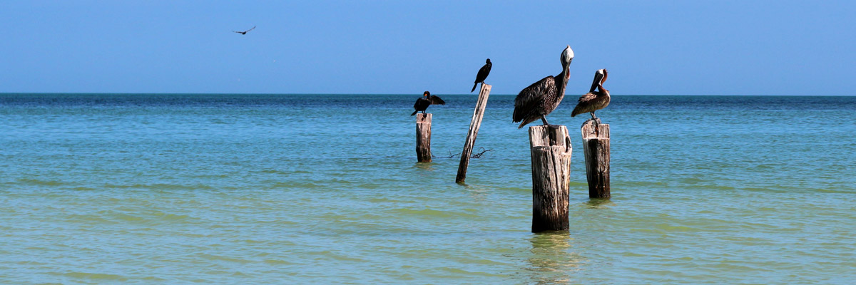 holbox mexique