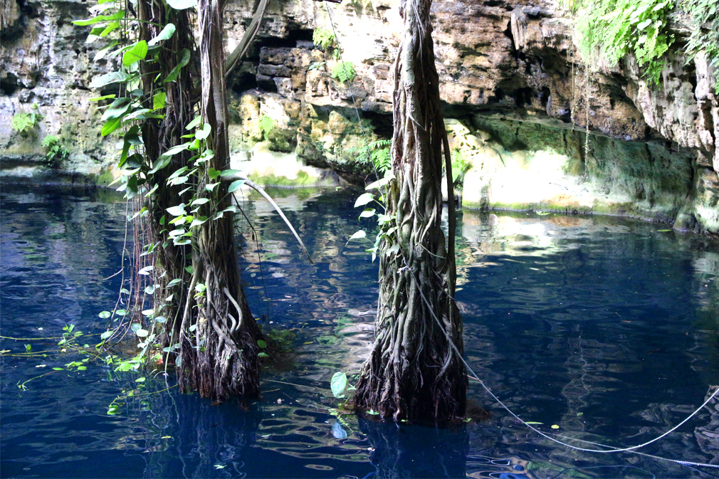 cenote oxman