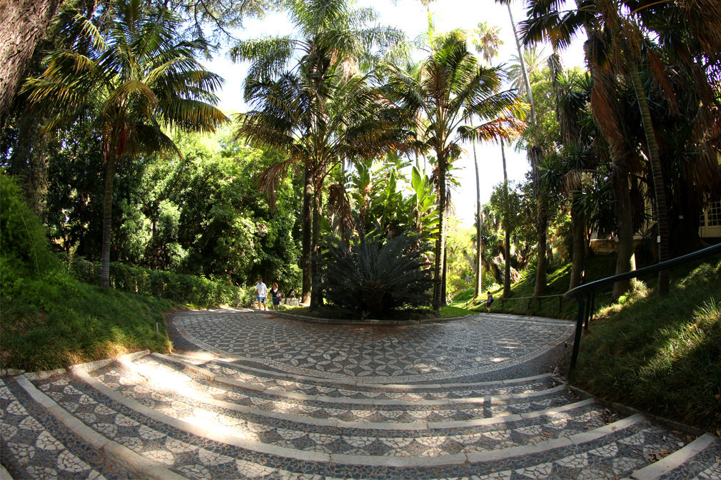 Jardin botanique Lisbonne