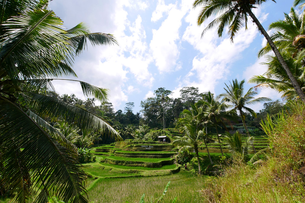 combien coûte un voyage à Bali