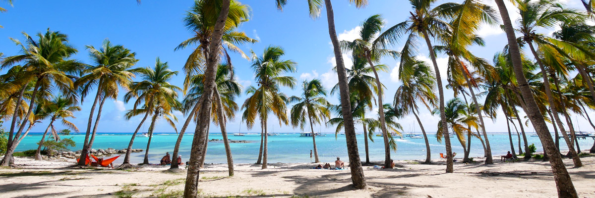 Guadeloupe : Itinéraire 2 Semaines - Blog Voyage & Road Trip