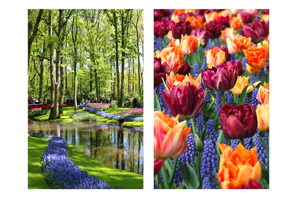 parc keukenhof