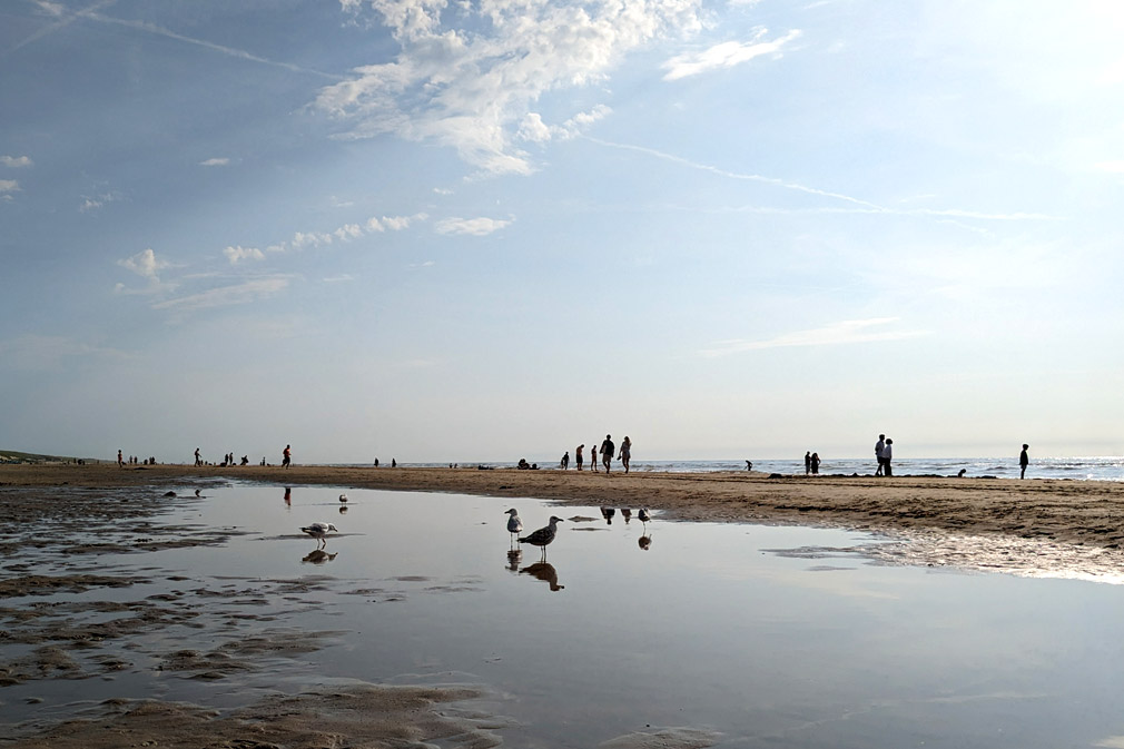 plus belles plages des Pays-Bas