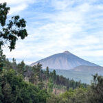 que faire à Tenerife