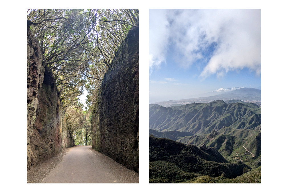 Randonnée à Tenerife